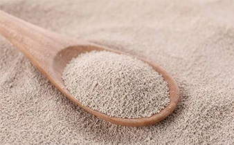 Probiotic powder