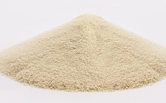 Probiotic Powder